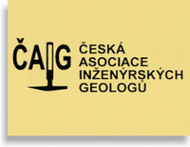 Logo �AIG