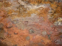 Pestr� aglomer�tov� tuf s pumami �edi�e - detail