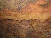 V�razn� subhorizont�ln� pulna s �lutookrovou v�pln� - detail